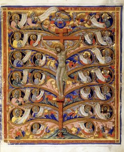 Livets træ eller korsets træ, illustration fra Trivulziana Latin Bible, ca. 1335-40 (tempera, bladguld & blæk på pergament)